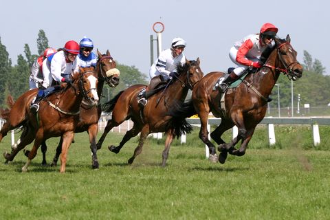 Corporate Race Night Hire